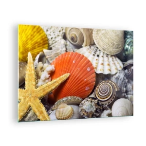 Üveg kép - Színes kagylók és tengeri csillagok tengeri kompozícióban - 70x50cm - Óceán kincsei - Modern fali dekoráció nappalihoz és hálószobához ARTTOR