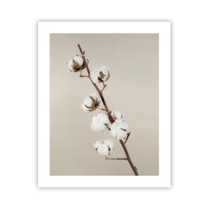 Poszter - A puhaság forrásánál - 40x50 cm