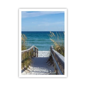 Poszter - Napsütésben, szélben - 70x100 cm