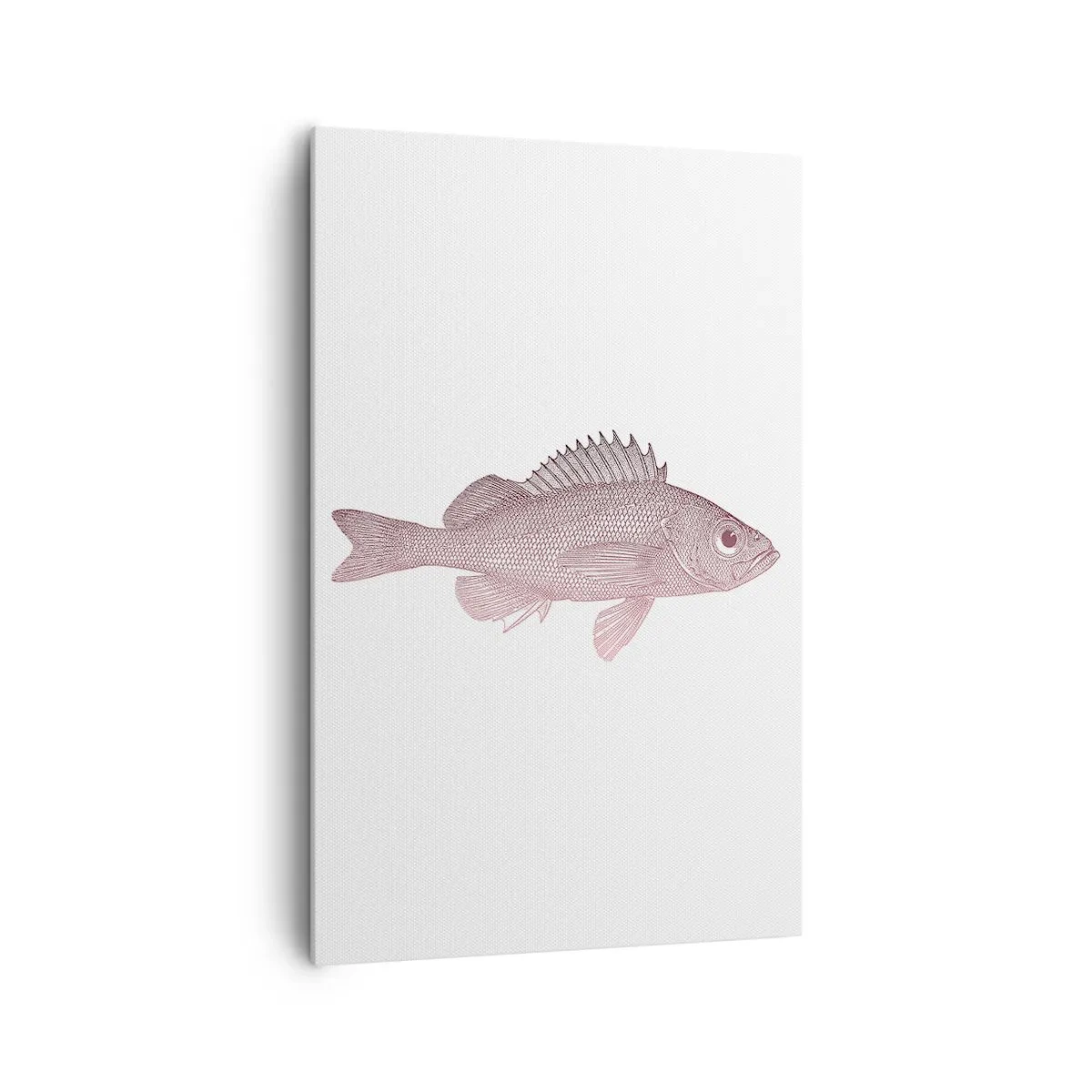 Vászonkép - Nagyszemű hal - 80x120 cm
