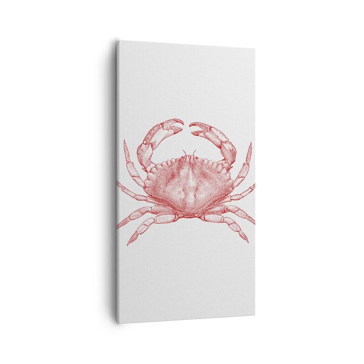 Vászonkép - Rák a rákok felett - 55x100 cm