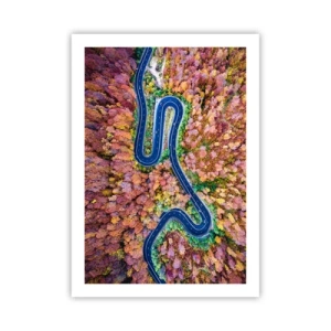 Poszter - Kanyargós út az erdőn keresztül - 50x70 cm