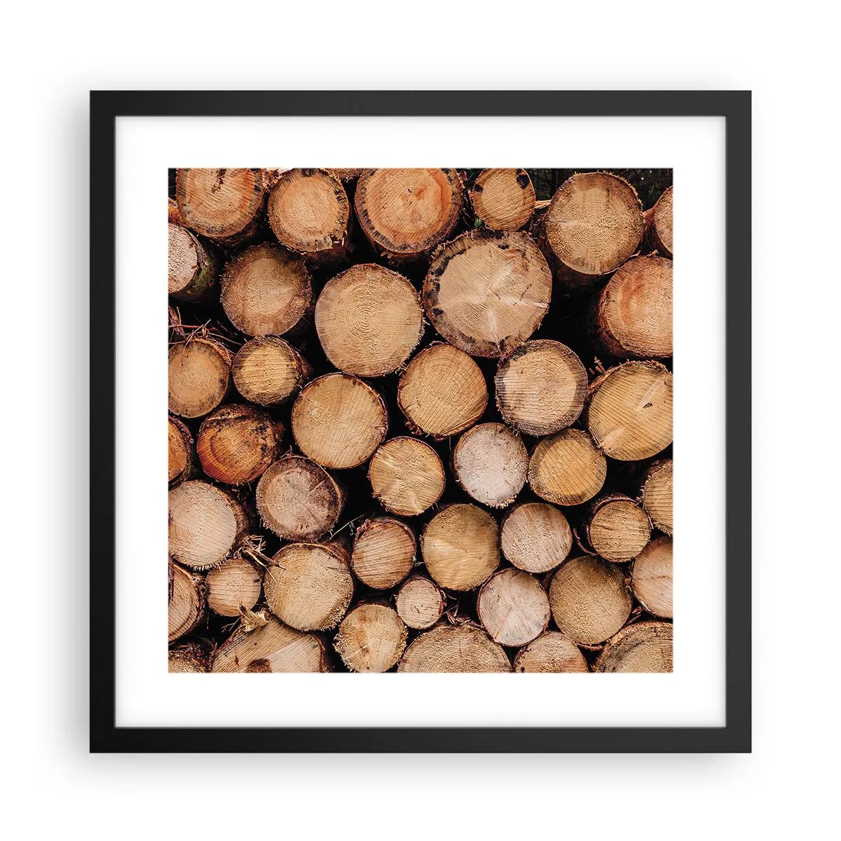 Poszter fehér keretben - Egy új kezdet - 40x40 cm