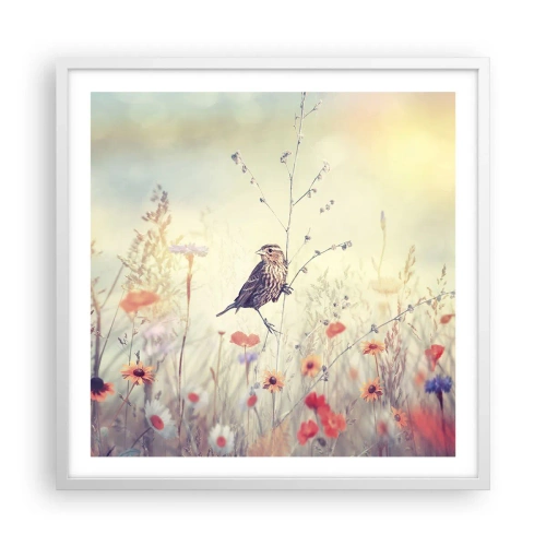 Poszter fekete keretben - Madárportré egy réttel a háttérben - 60x60 cm