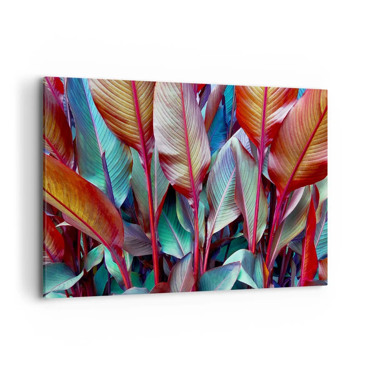 Vászonkép - Egy színes sűrű - 100x70 cm