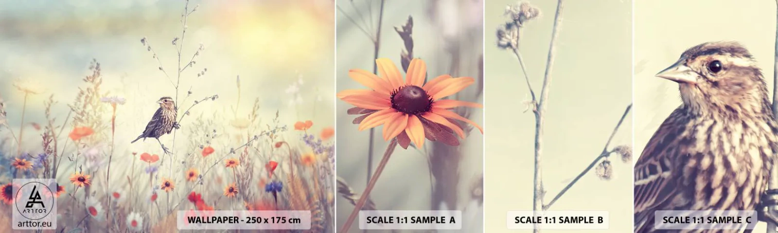 Fotótapéta Minta Öntapadós Deluxe Sticker - Madárportré egy réttel a háttérben - Madár, Rét, Természet - 100x30 cm