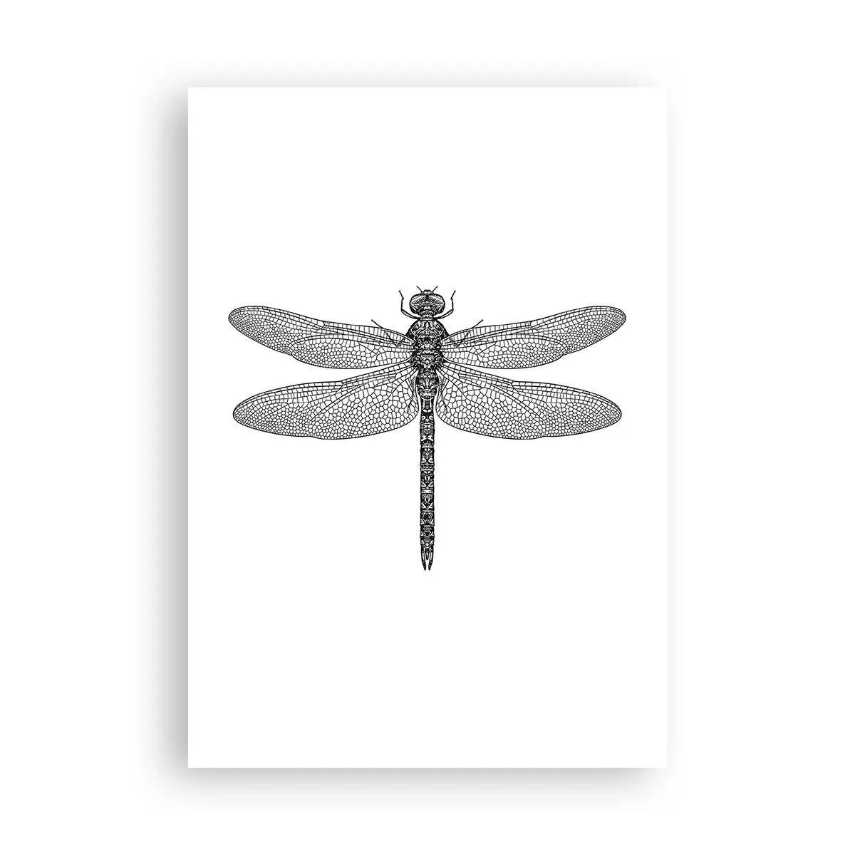 Poszter - A természet precizitása - 70x100 cm