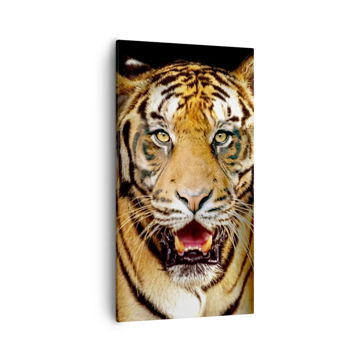 Vászonkép - Szívében vad - 55x100 cm