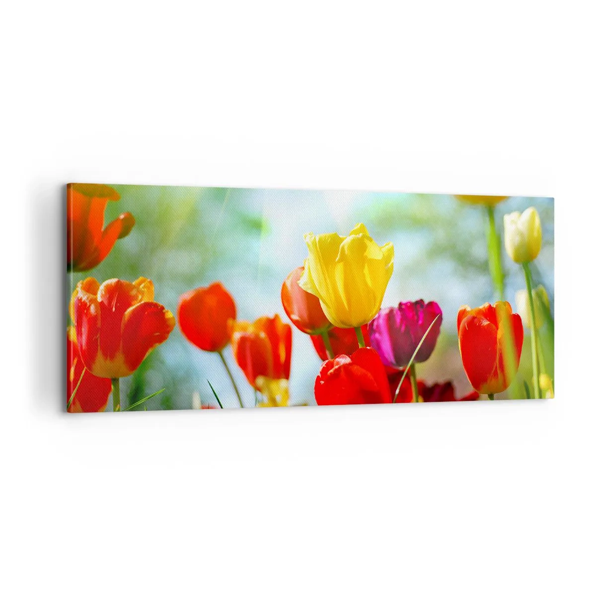 Vászonkép - A nap minden színe - 100x40 cm