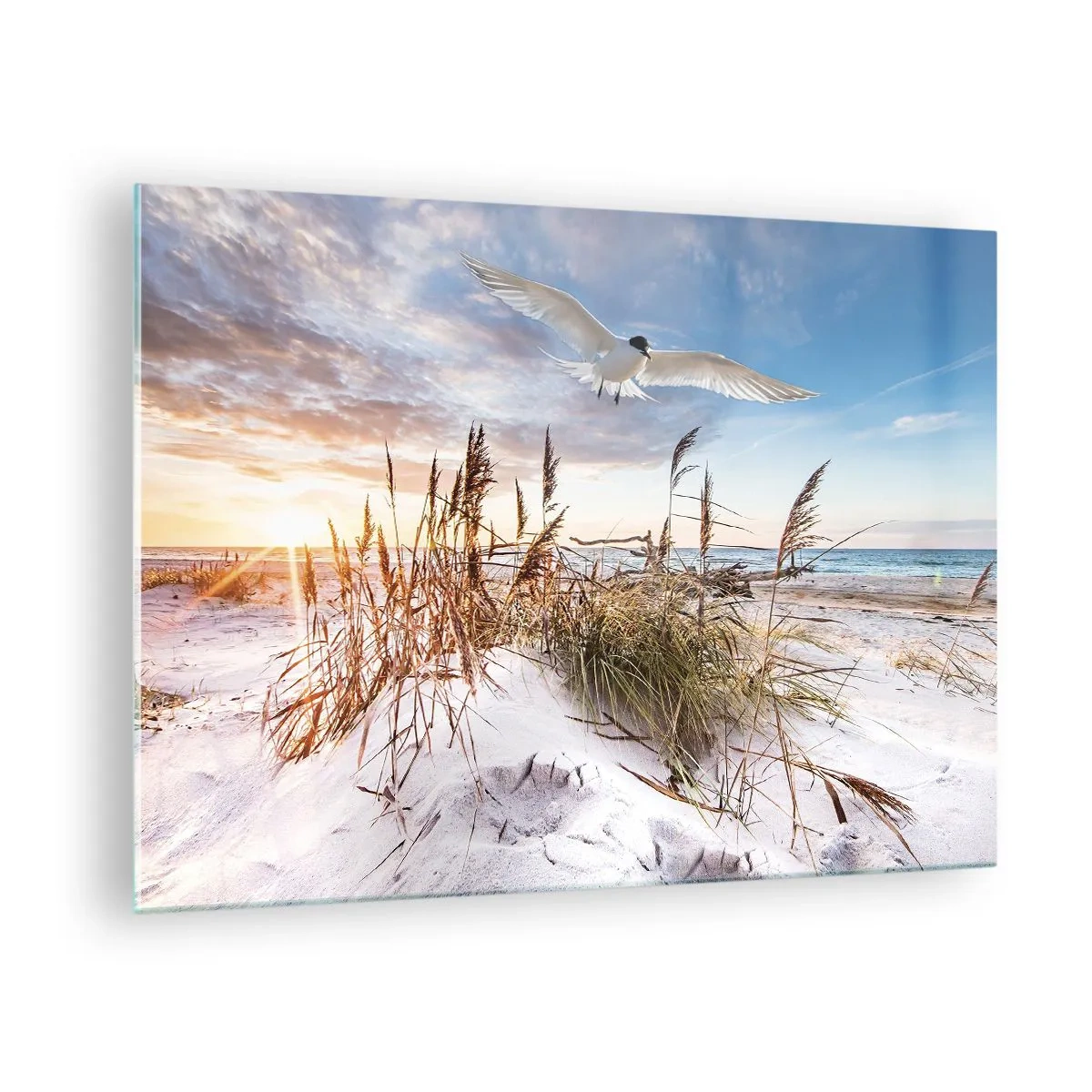 Üveg kép - Egy madár repül a dűnék felett naplementekor - 70x50cm - A tengeri szél - Modern fali dekoráció nappalihoz és hálószobához ARTTOR
