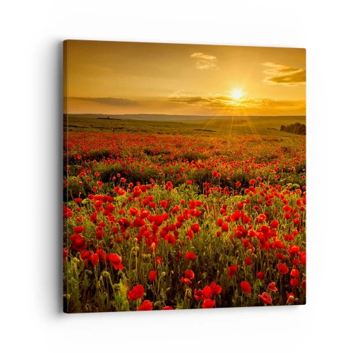 Vászonkép - Susogó rétek hullámai között, a virág özön között - 40x40 cm