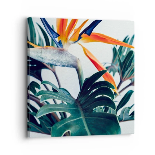 Vászonkép - Madárkalitka - 30x30 cm