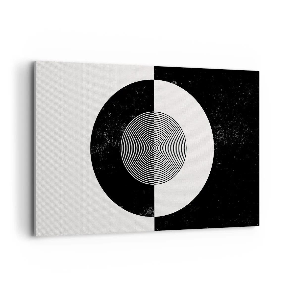 Vászonkép - Harmónia fekete-fehérben - 120x80 cm