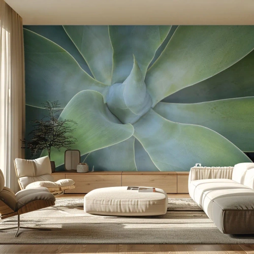 Fotótapéta Premium Sand - A zöld születése - Nedvdús, Agávé, Növénytan - 500x350 cm