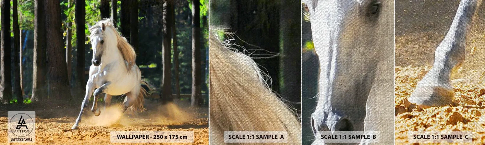 Fotótapéta Minta Premium Canvas - Mint egy fantasy regényből - Állatok, Ló, Tájkép - 100x30 cm