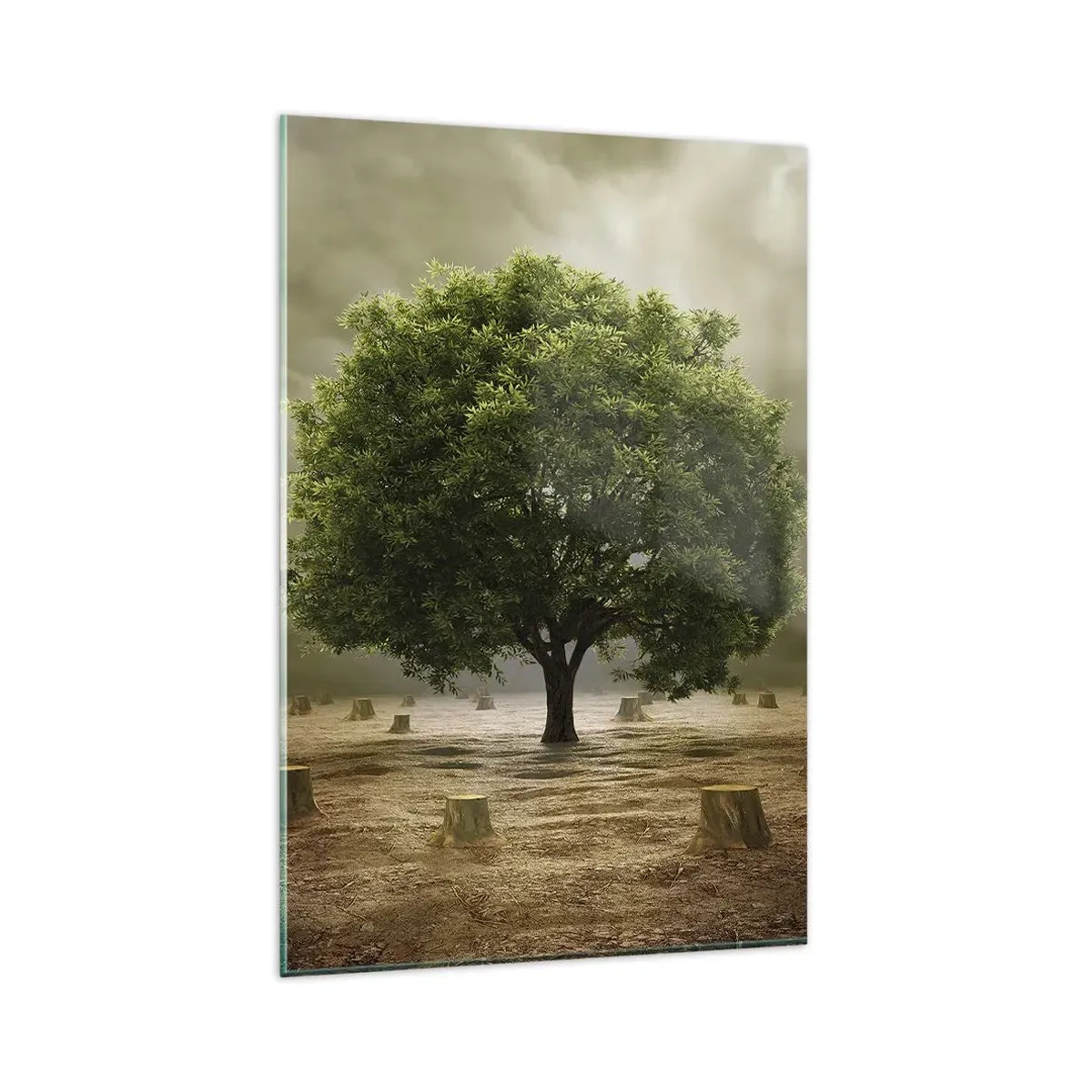 Üveg kép - Egész remény - 80x120 cm