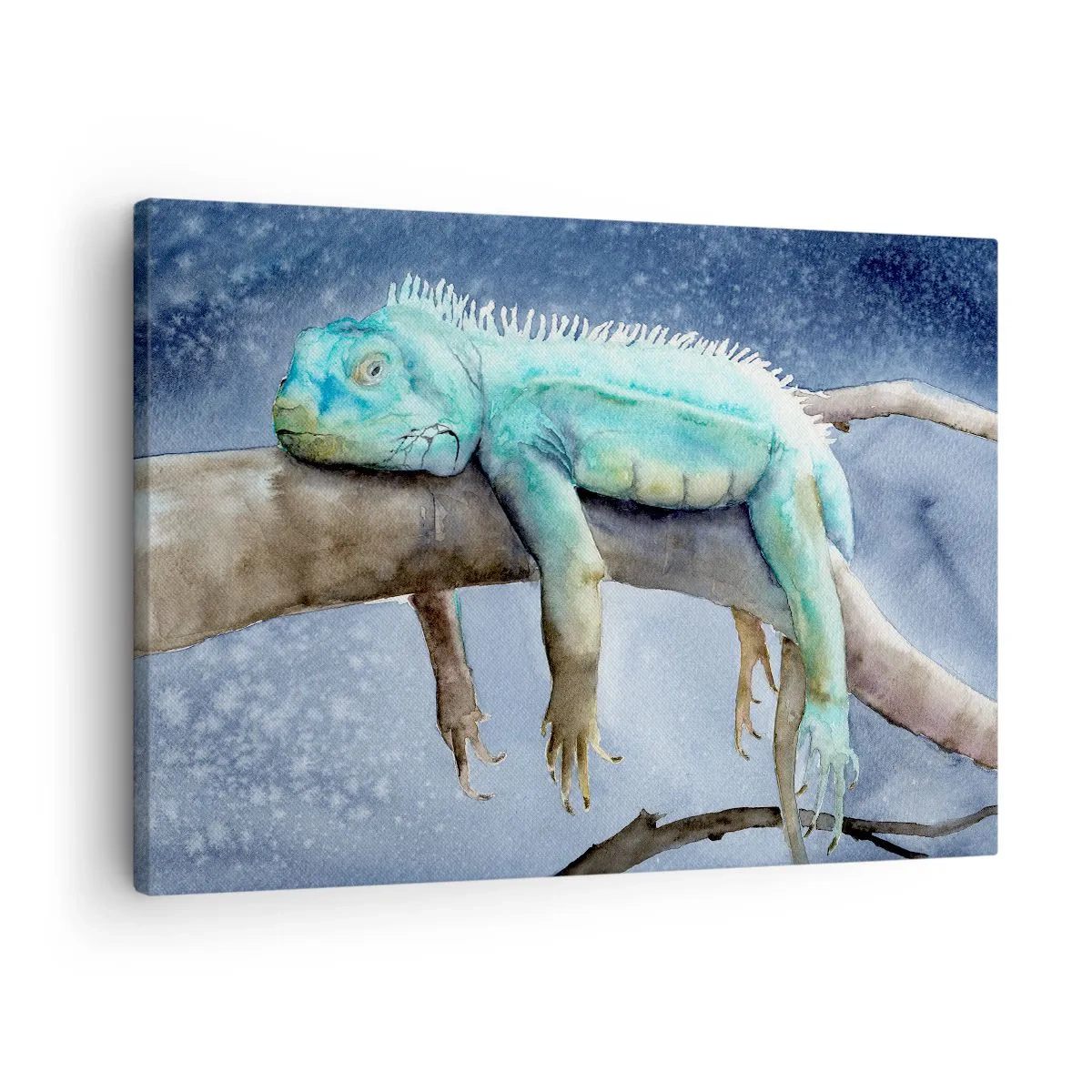 Vászonkép - Kék leguán pihen egy ágon - 70x50cm - Ez jó! - Modern fali dekoráció nappalihoz és hálószobához ARTTOR