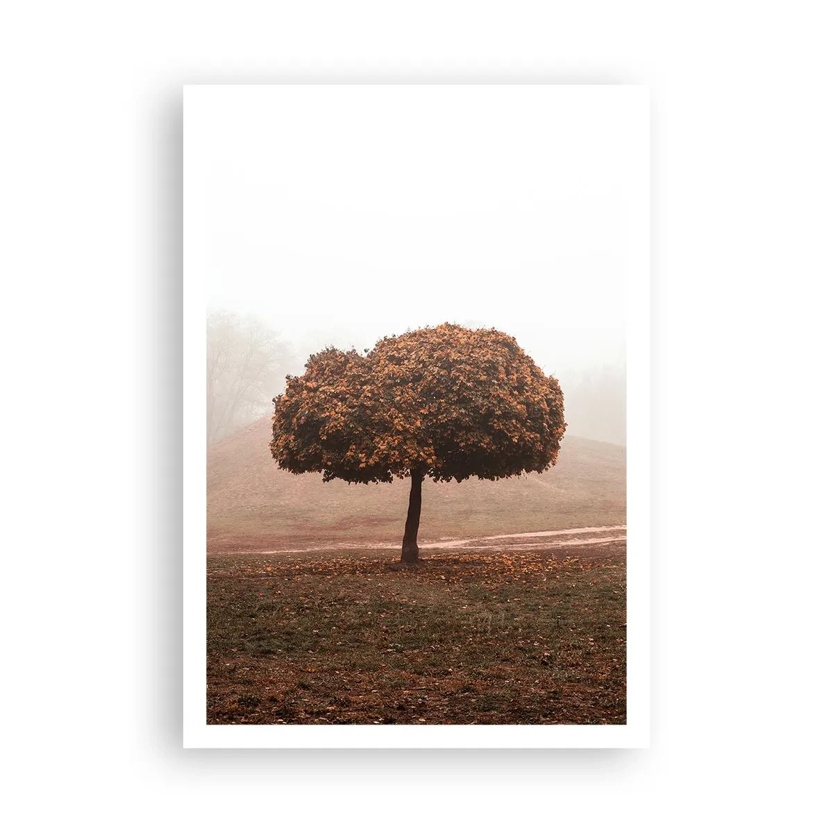 Poszter - Egy mozgalmas nyár után - 70x100 cm