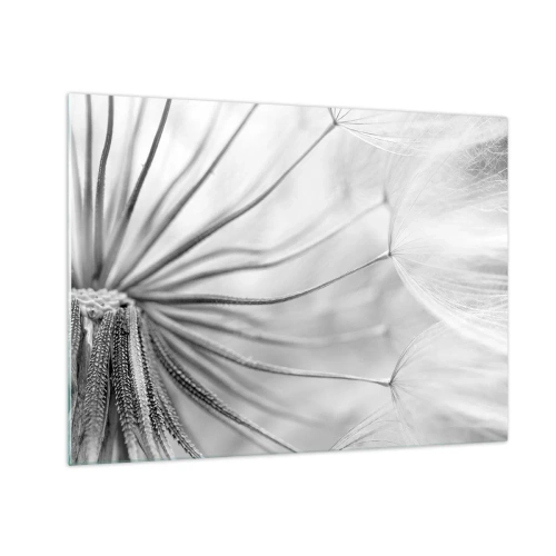 Üveg kép - Makrófotózás egy pitypangról fekete-fehér árnyalatokban - 70x50cm - Pitypang, papírsárkány - Modern fali dekoráció nappalihoz és hálószobához ARTTOR