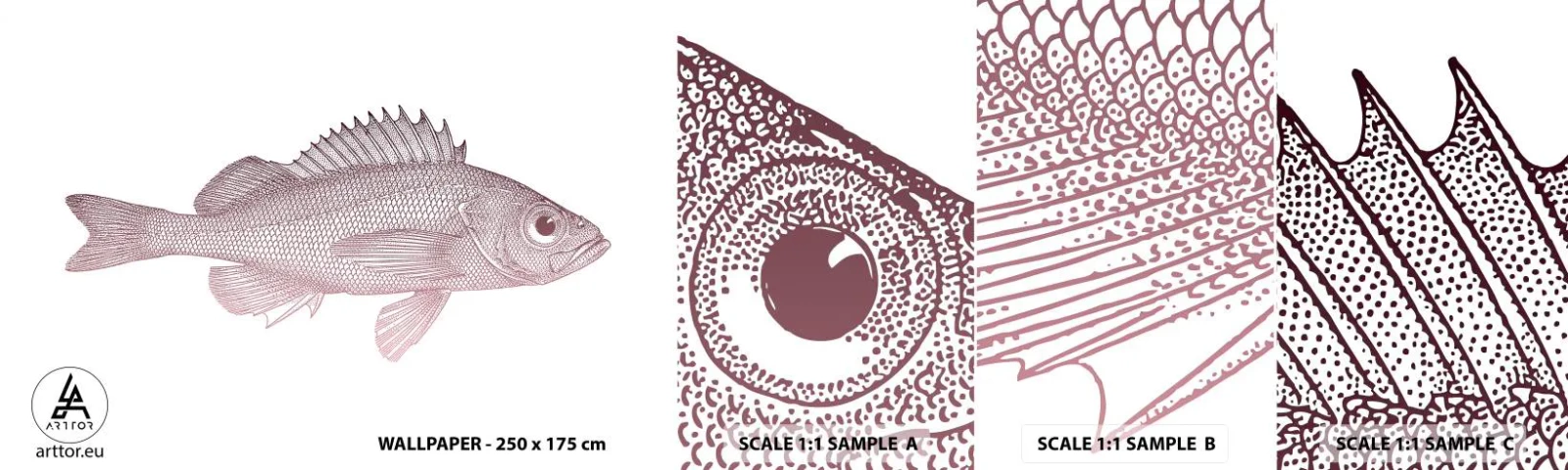 Fotótapéta Minta Öntapadós Deluxe Sticker - Nagyszemű hal - Hal, viz alatti, Minimalista - 100x30 cm