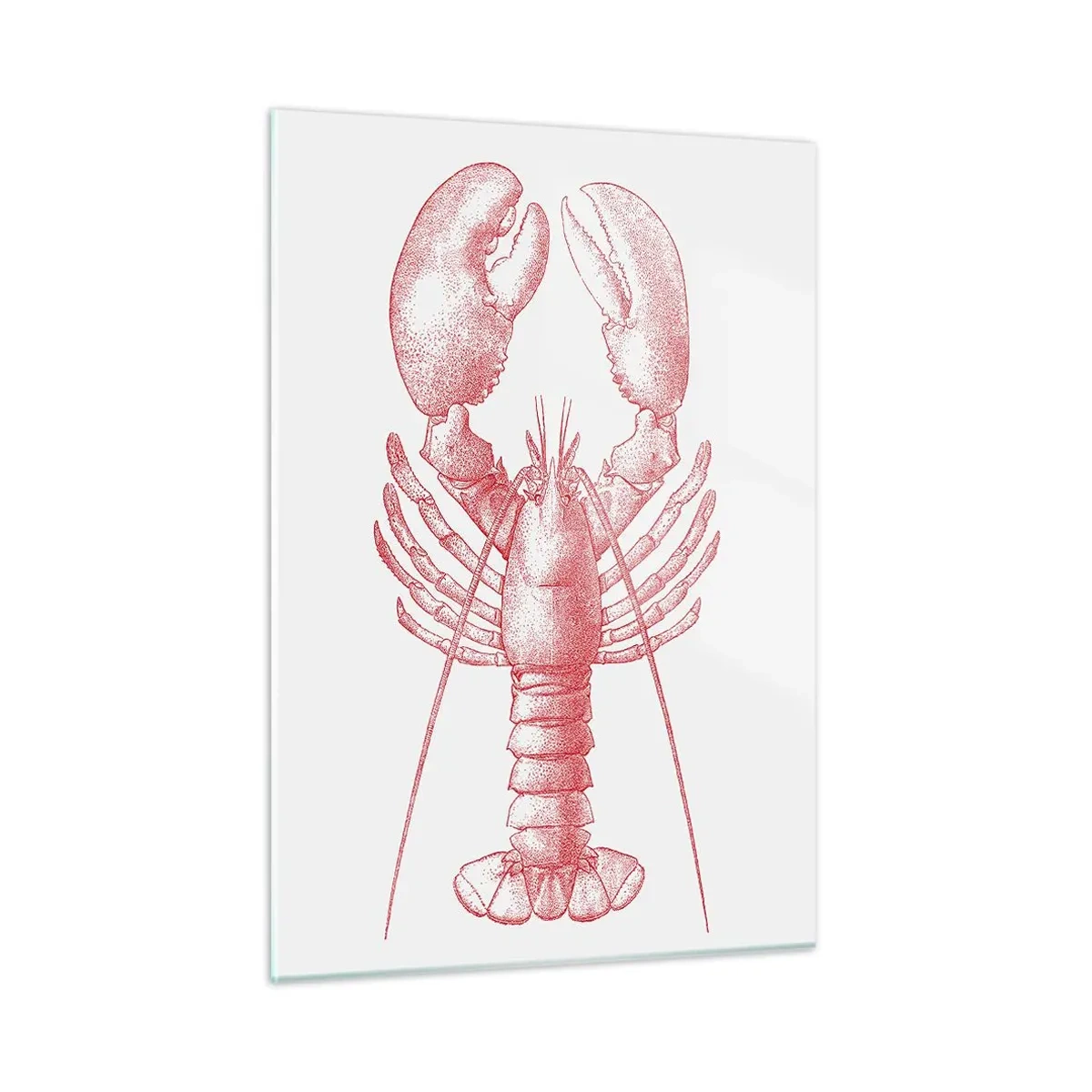 Üveg kép - Homéroszhoz méltó homár - 50x70 cm