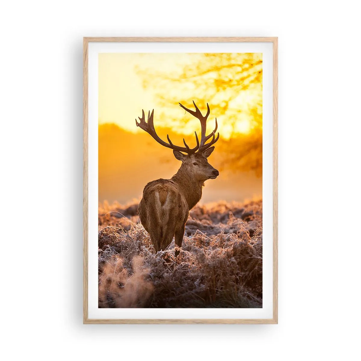 Poszter világos tölgy keretben - Az őszi erdő királya - 61x91 cm