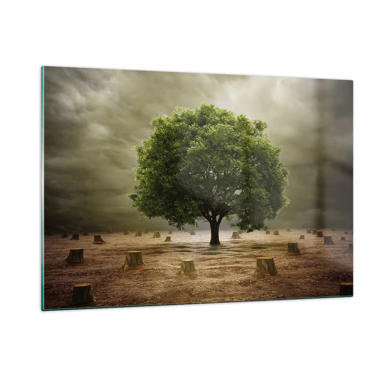 Üveg kép - Egész remény - 120x80 cm