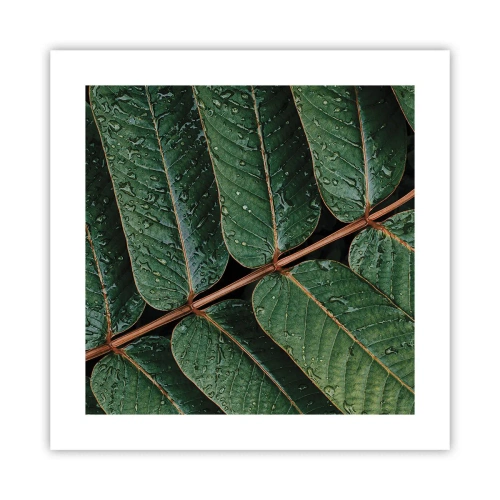 Poszter - Zöld ritmusban - 40x40 cm