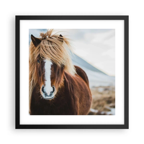 Poszter fehér keretben - Érzed a szabadságot? - 40x40 cm