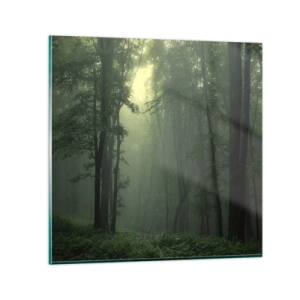 Üveg kép - Mielőtt felébred - 60x60 cm
