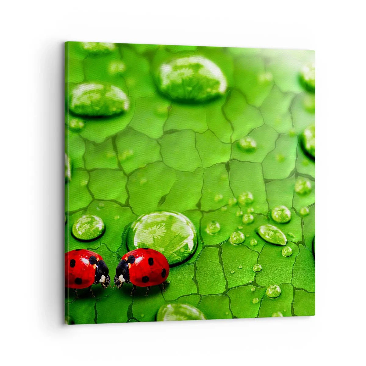 Vászonkép - Találkozás a zöldben - 50x50 cm