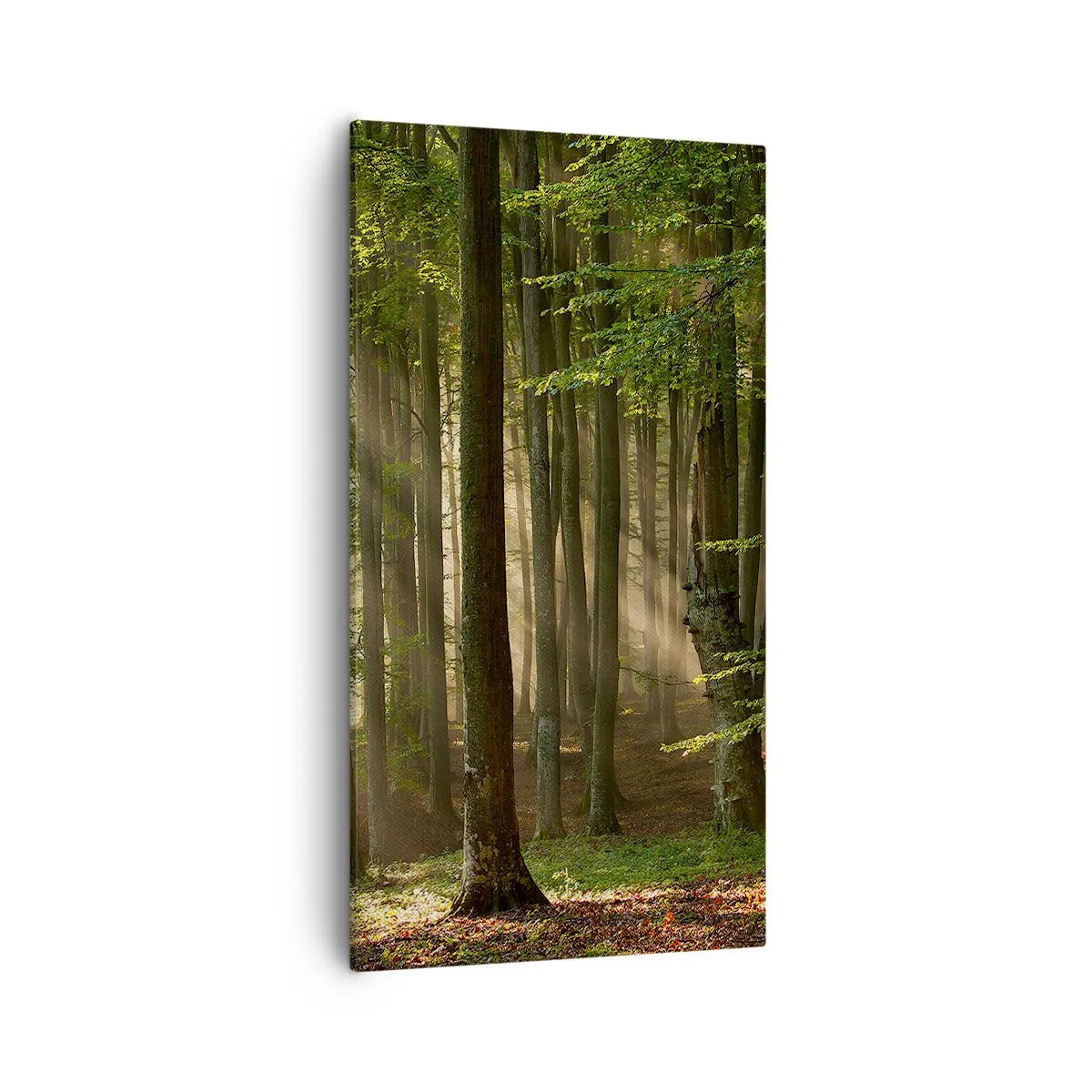 Vászonkép - Ragyogó tavaszi reggelen - 55x100 cm