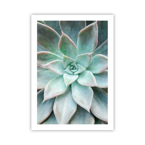 Poszter - A sivatag szíve - 50x70 cm