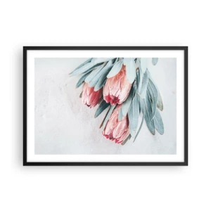 Poszter fehér keretben - Szégyellve saját szépségüket - 70x50 cm