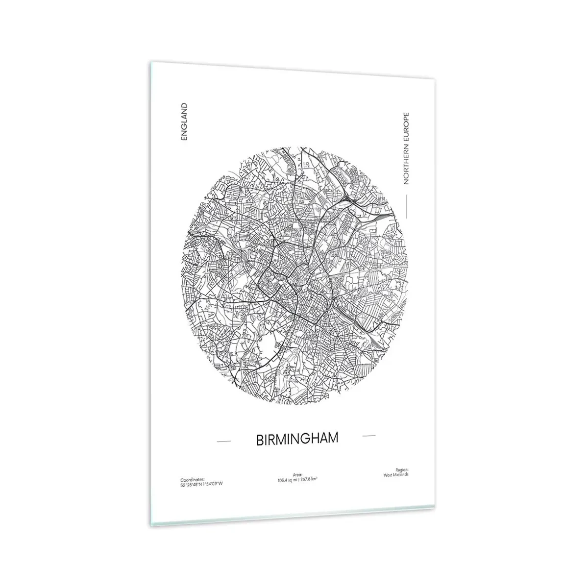 Üveg kép - Birmingham anatómiája - 80x120 cm