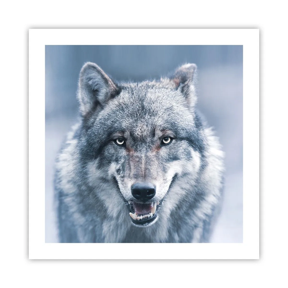 Poszter - Vállalod a kihívást? - 50x50 cm