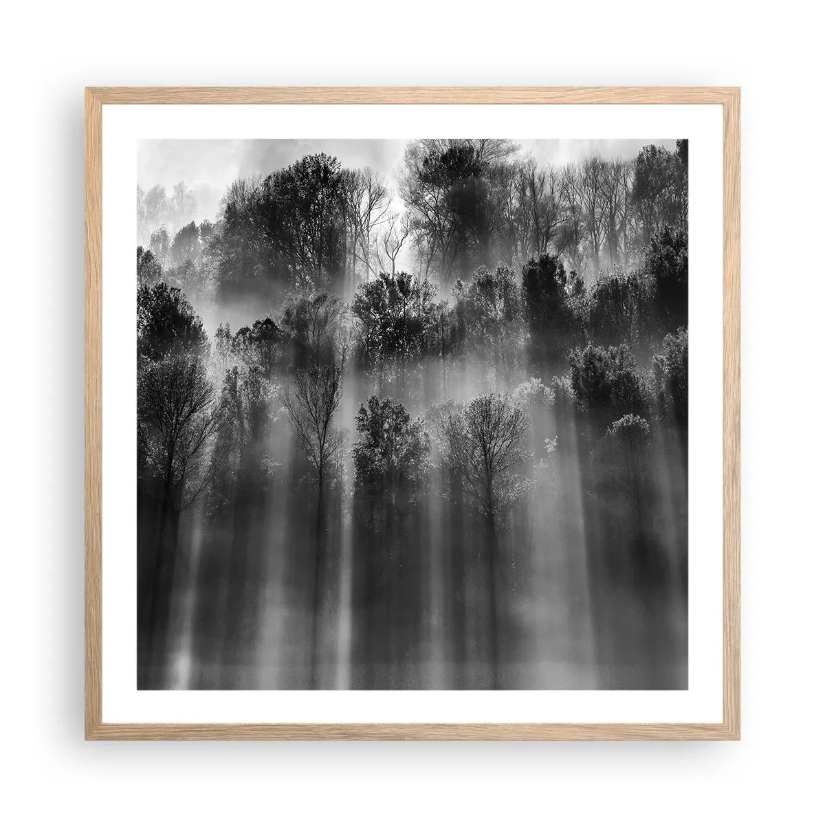 Poszter világos tölgy keretben - Fénypatakokban - 60x60 cm