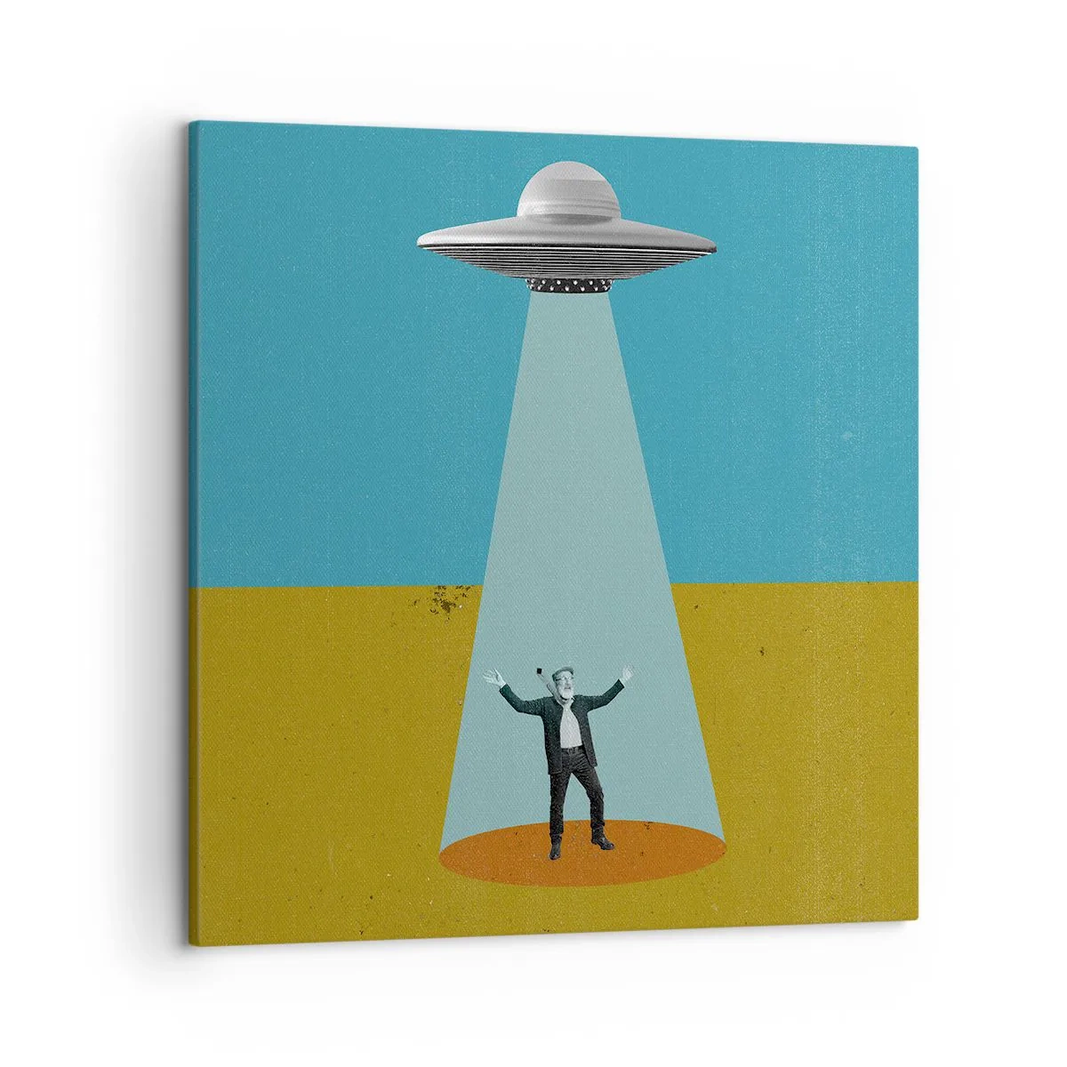 Vászonkép - Közeli találkozás - 50x50 cm