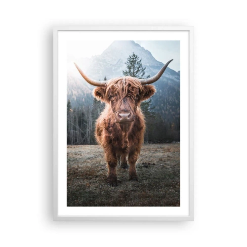 Poszter fekete keretben - Üdvözlet a hegyi rétről - 50x70 cm