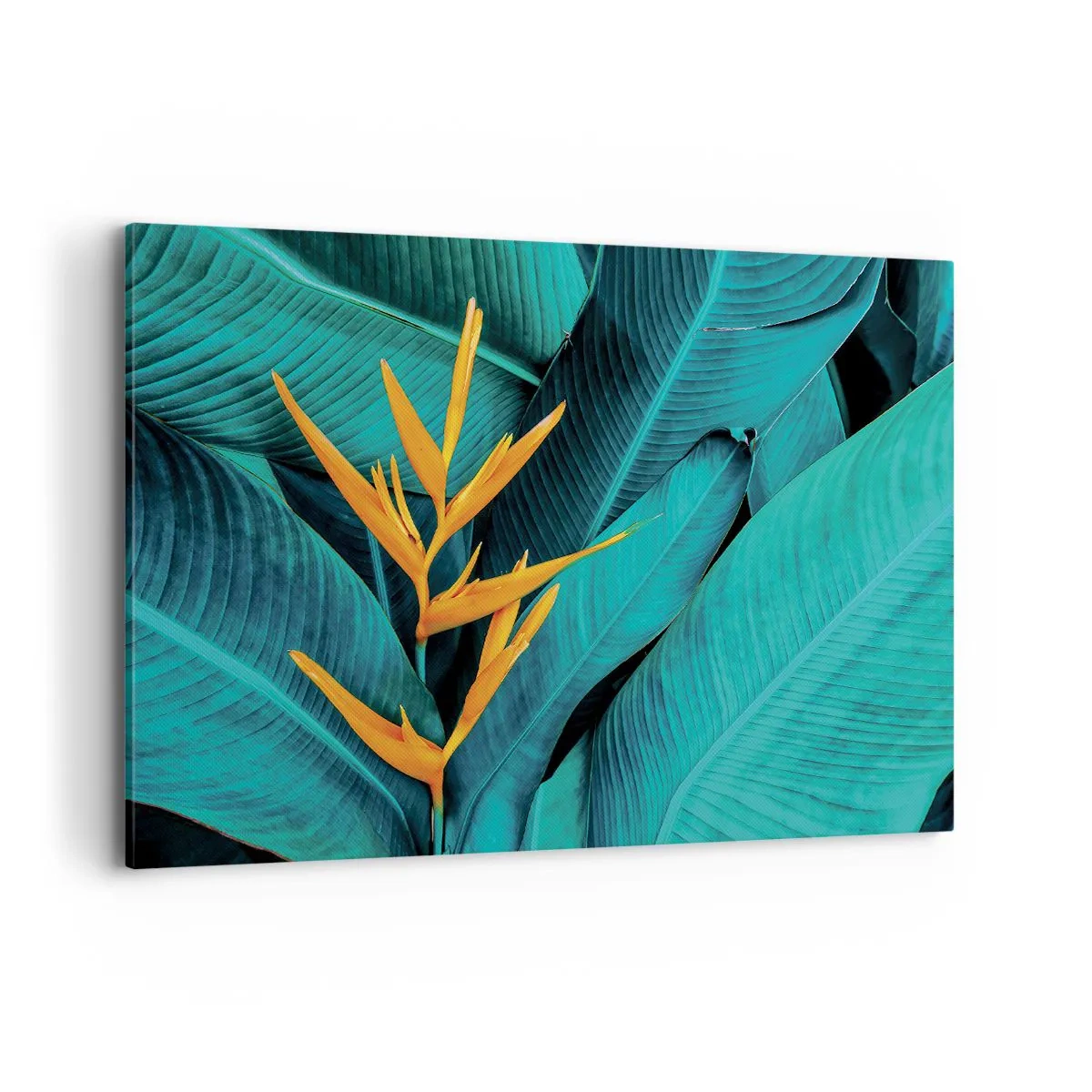 Vászonkép - Éden virága - 120x80 cm