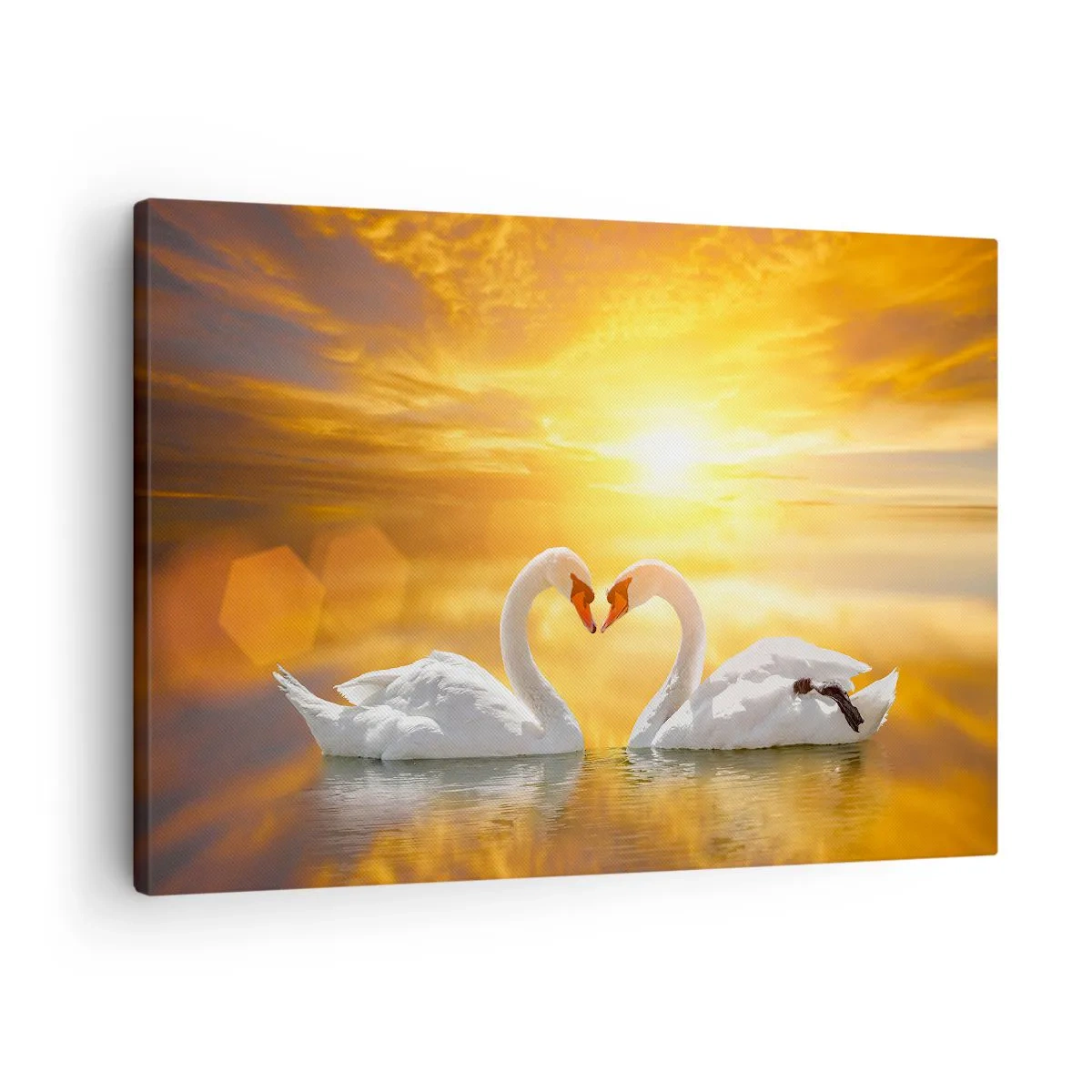 Vászonkép - Romantikus jelenet két hattyúról, amint szívet formálnak egy aranyló naplemente hátterében. - 70x50cm - A szív a legszebb szó a világon... - Modern fali dekoráció nappalihoz és hálószobához ARTTOR