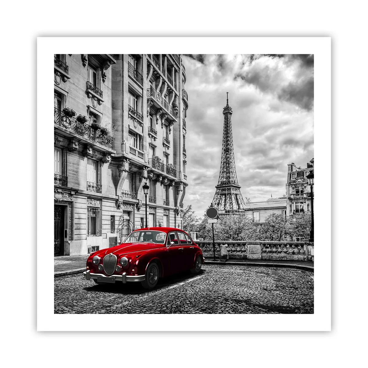 Poszter - Ragadozó a városban - 60x60 cm