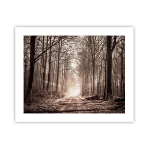 Poszter - Erdei katedrális - 50x40 cm