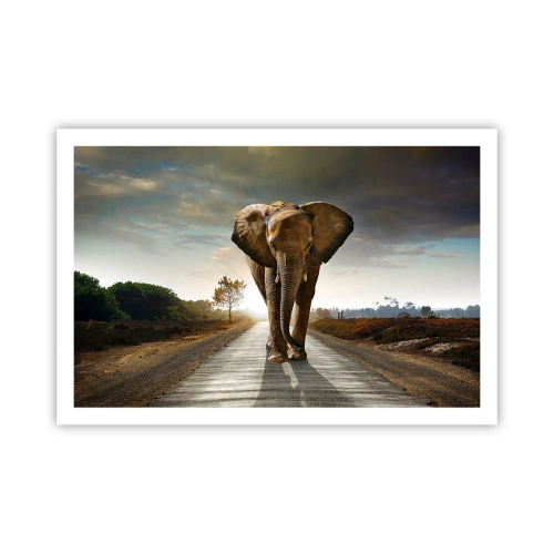 Poszter - És egyáltalán nem porcelánraktárban - 91x61 cm