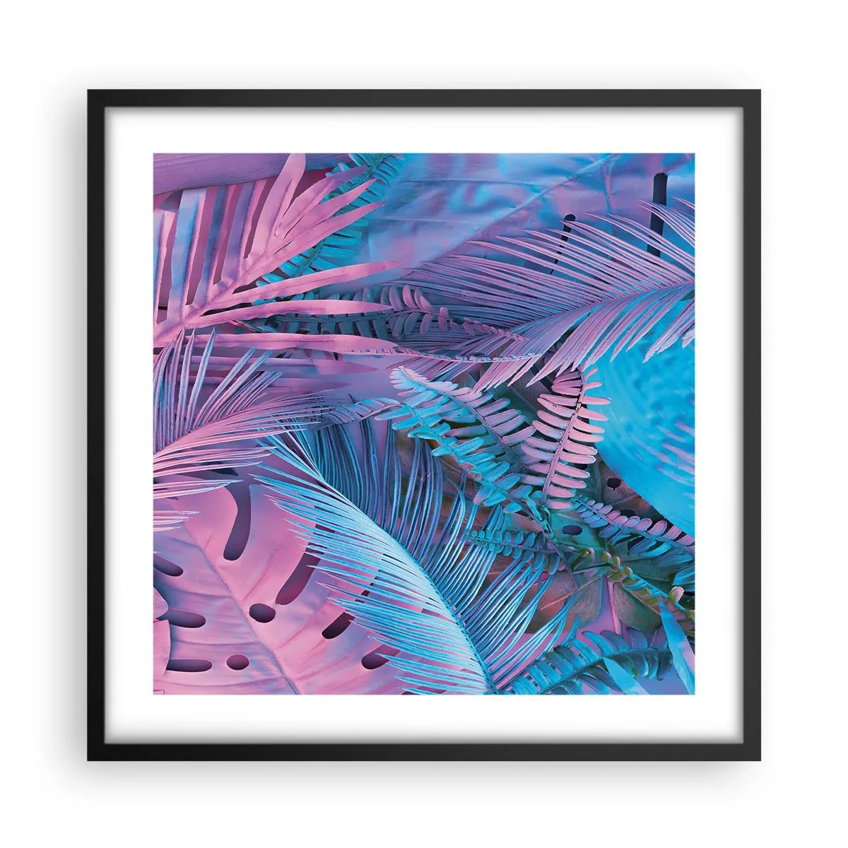 Poszter fehér keretben - Trópusok rózsaszínben és kékben - 50x50 cm