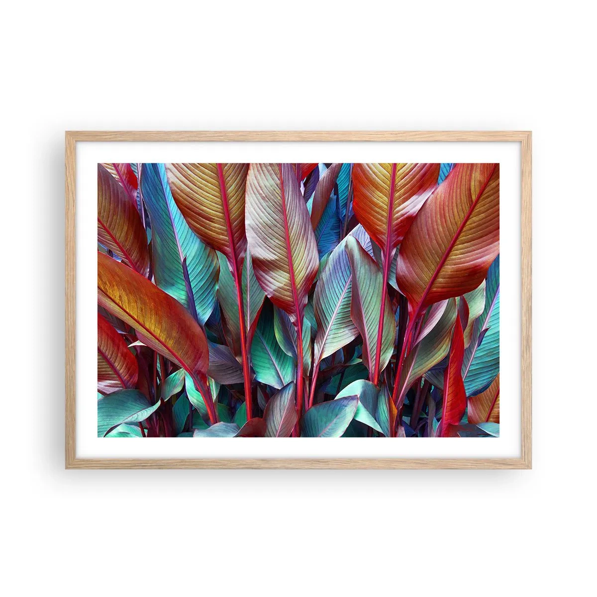 Poszter világos tölgy keretben - Egy színes sűrű - 70x50 cm