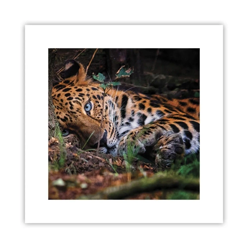 Poszter - Bízz bennem - 30x30 cm