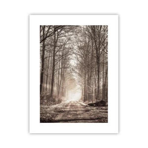 Poszter - Erdei katedrális - 30x40 cm