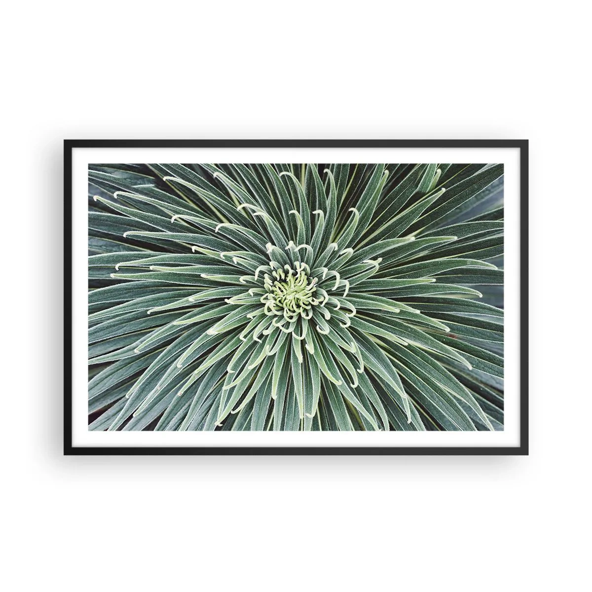 Poszter fehér keretben - Csillag születik - 91x61 cm