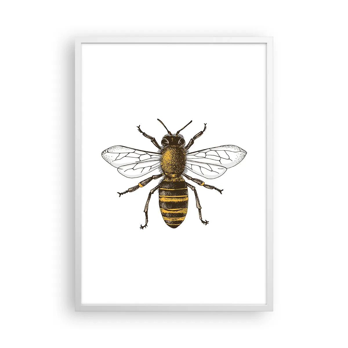 Poszter fekete keretben - Gyönyörű és jó - 50x70 cm